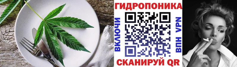 Canna-Cookies конопля  Кущёвская 